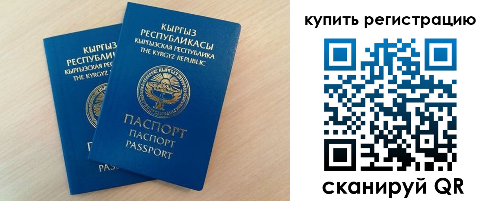 временная регистрация поиск в Смоленской области