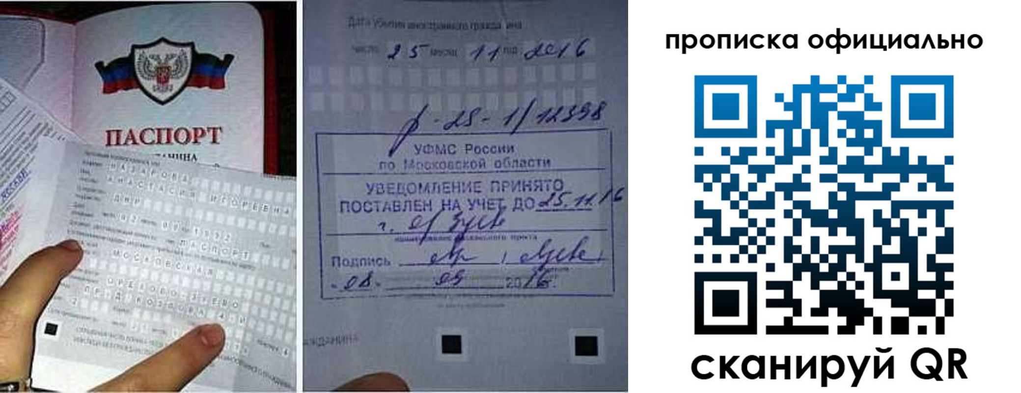прописка паспорт в Смоленской области